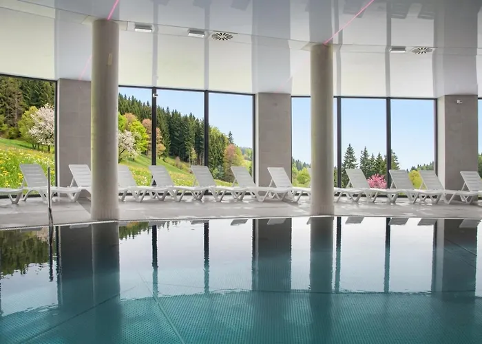 Hotel Czarna Perla 213 - Z Widokiem Na Sudety - Czarna Gora - Sienna (Klodzko)